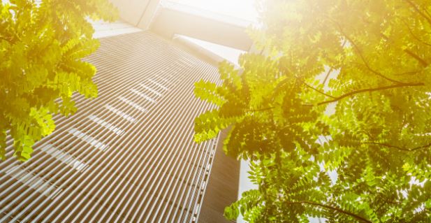 CAPITA shares its Green Week Highlights