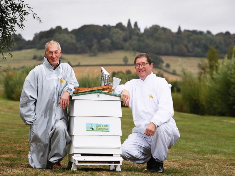 One Million Bees Create a Buzz at Westcott Venture Park