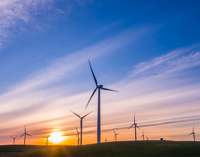 Working Groups & Roundtables